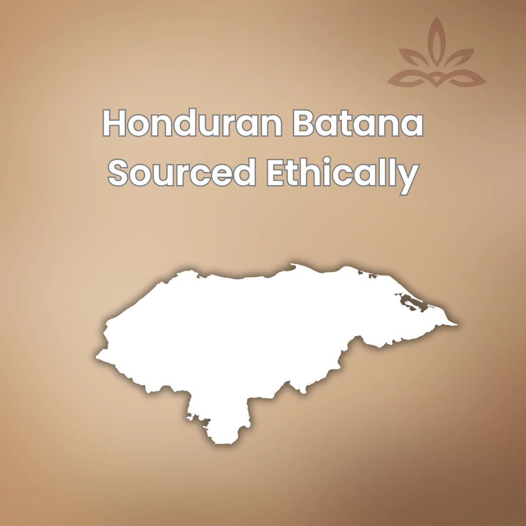 Authentic Honduran Batana Growth Oil